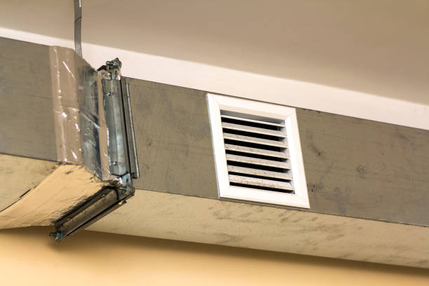 Best Professional Duct Cleaning Services  in Pico Rivera, CA